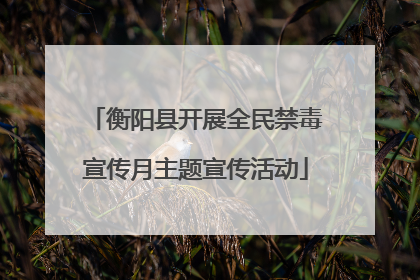 衡阳县开展全民禁毒宣传月主题宣传活动