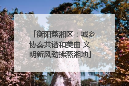 衡阳蒸湘区：城乡协奏共谱和美曲 文明新风劲拂蒸湘地