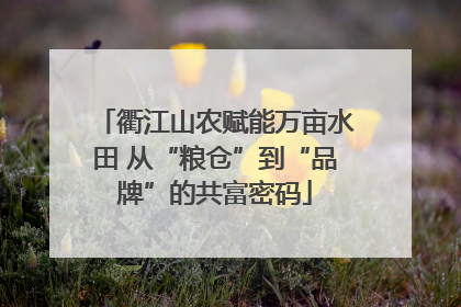 衢江山农赋能万亩水田 从“粮仓”到“品牌”的共富密码