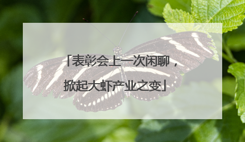 表彰会上一次闲聊，掀起大虾产业之变