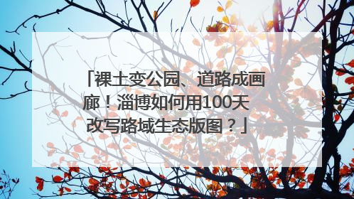 裸土变公园、道路成画廊！淄博如何用100天改写路域生态版图？