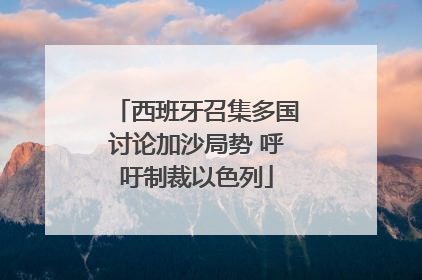 西班牙召集多国讨论加沙局势 呼吁制裁以色列