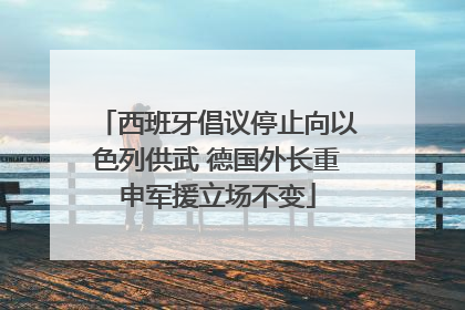 西班牙倡议停止向以色列供武 德国外长重申军援立场不变