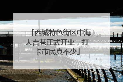 西城特色街区中海大吉巷正式开业，打卡市民真不少