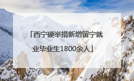 西宁硬举措新增留宁就业毕业生1800余人