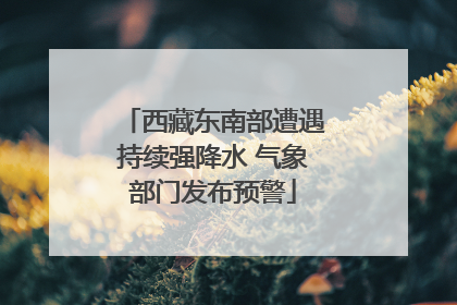 西藏东南部遭遇持续强降水 气象部门发布预警