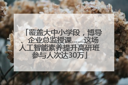 覆盖大中小学段，博导、企业总监授课……这场人工智能素养提升高研班参与人次达30万