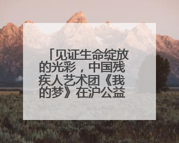 见证生命绽放的光彩，中国残疾人艺术团《我的梦》在沪公益演出