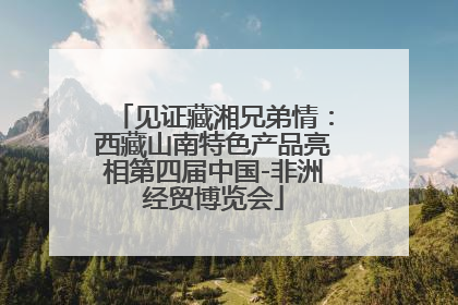 见证藏湘兄弟情：西藏山南特色产品亮相第四届中国-非洲经贸博览会