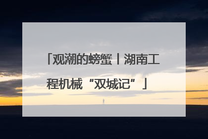 观潮的螃蟹丨湖南工程机械“双城记”