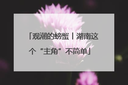 观潮的螃蟹丨湖南这个“主角”不简单