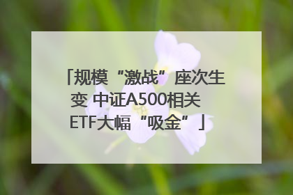 规模“激战”座次生变 中证A500相关ETF大幅“吸金”