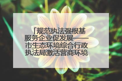 规范执法强根基 服务企业促发展——市生态环境综合行政执法局激活营商环境“绿色动能”