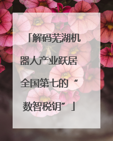 解码芜湖机器人产业跃居全国第七的“数智税钥”
