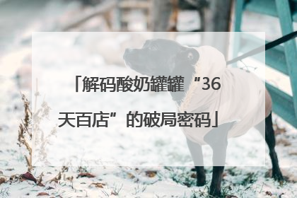 解码酸奶罐罐“36天百店”的破局密码