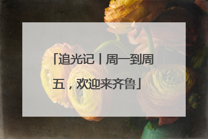 追光记丨周一到周五，欢迎来齐鲁