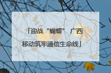 迎战“蝴蝶” 广西移动筑牢通信生命线
