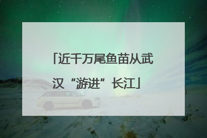 近千万尾鱼苗从武汉“游进”长江