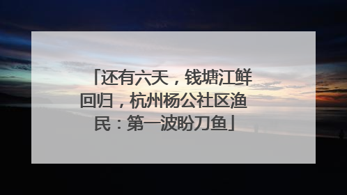还有六天，钱塘江鲜回归，杭州杨公社区渔民：第一波盼刀鱼