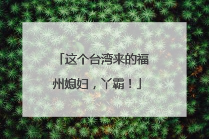 这个台湾来的福州媳妇，丫霸！