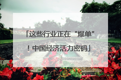 这些行业正在“爆单”！中国经济活力密码