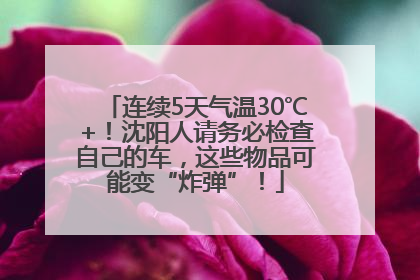 连续5天气温30℃+！沈阳人请务必检查自己的车，这些物品可能变“炸弹”！