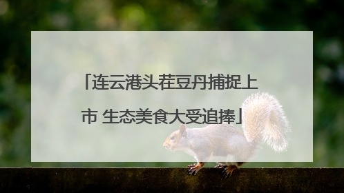 连云港头茬豆丹捕捉上市 生态美食大受追捧
