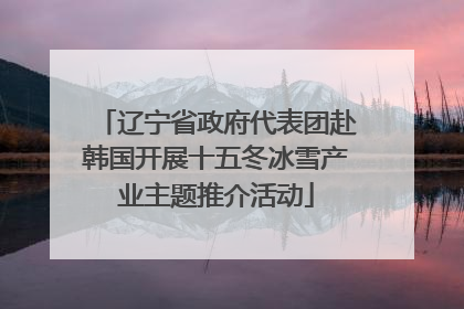 辽宁省政府代表团赴韩国开展十五冬冰雪产业主题推介活动