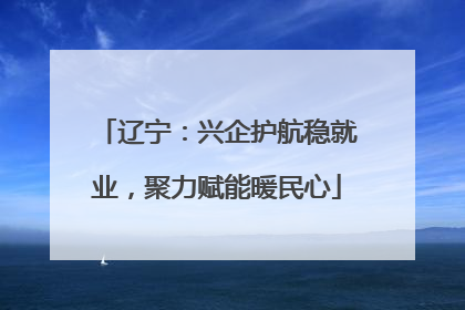 辽宁：兴企护航稳就业，聚力赋能暖民心