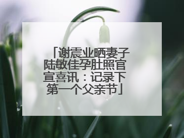 谢震业晒妻子陆敏佳孕肚照官宣喜讯：记录下第一个父亲节