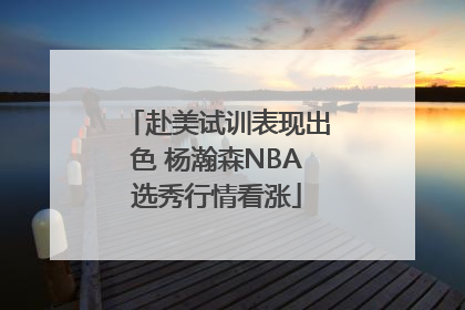 赴美试训表现出色 杨瀚森NBA选秀行情看涨