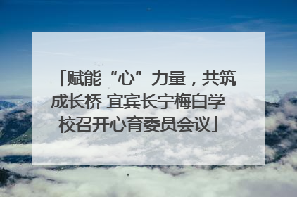 赋能“心”力量，共筑成长桥 宜宾长宁梅白学校召开心育委员会议