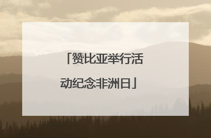 赞比亚举行活动纪念非洲日
