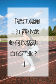 赣江观澜：江西小龙虾何以撬动百亿产业？