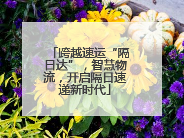 跨越速运“隔日达”，智慧物流，开启隔日速递新时代