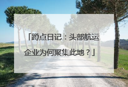 蹲点日记：头部航运企业为何聚集此地？