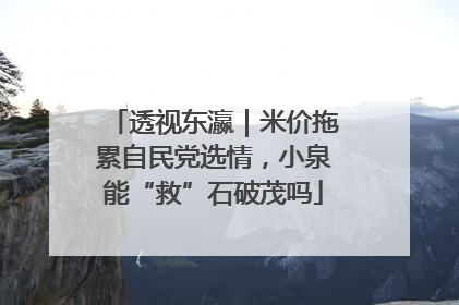 透视东瀛｜米价拖累自民党选情，小泉能“救”石破茂吗