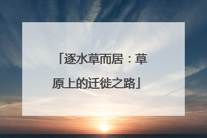 逐水草而居：草原上的迁徙之路