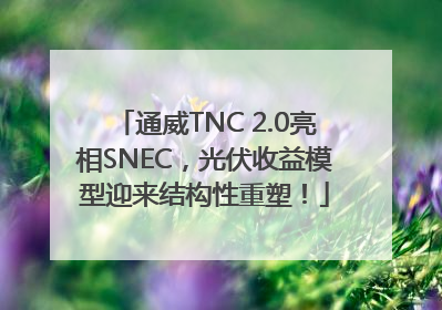 通威TNC 2.0亮相SNEC，光伏收益模型迎来结构性重塑！