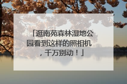 逛南苑森林湿地公园看到这样的照相机，千万别动！