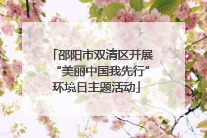 邵阳市双清区开展“美丽中国我先行”环境日主题活动