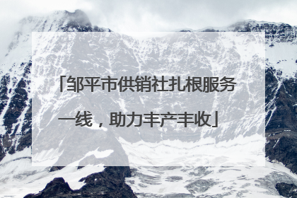 邹平市供销社扎根服务一线，助力丰产丰收