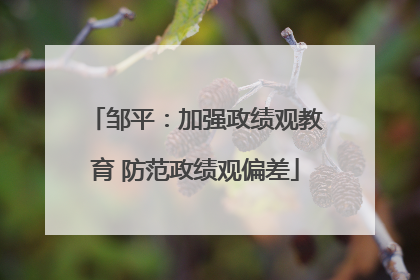 邹平：加强政绩观教育 防范政绩观偏差