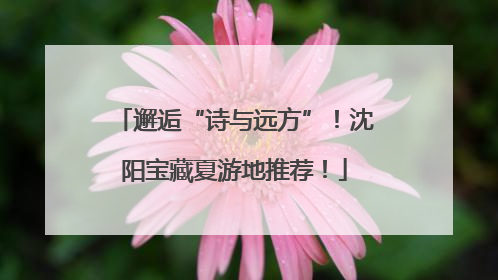 邂逅“诗与远方”！沈阳宝藏夏游地推荐！