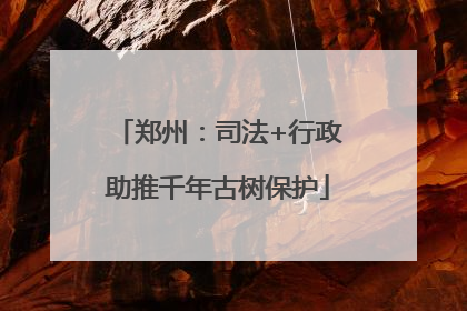郑州：司法+行政助推千年古树保护