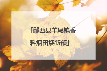郧西县羊尾镇香料烟田焕新颜