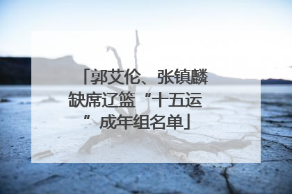 郭艾伦、张镇麟缺席辽篮“十五运”成年组名单