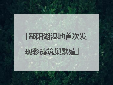 鄱阳湖湿地首次发现彩鹮筑巢繁殖