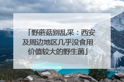 野蘑菇别乱采：西安及周边地区几乎没食用价值较大的野生菌
