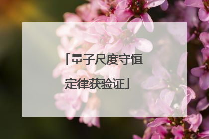 量子尺度守恒定律获验证